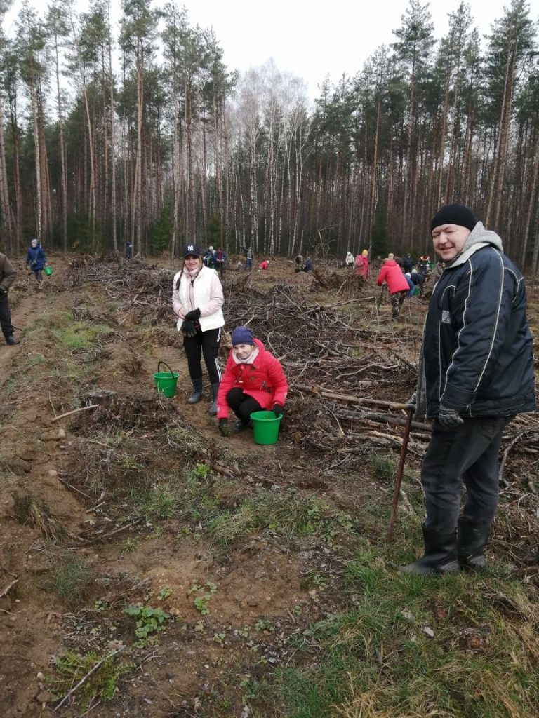Работники Дзержинского ТЦСОН совместили участие в районном субботнике с еще одним добрым делом – посадкой леса.