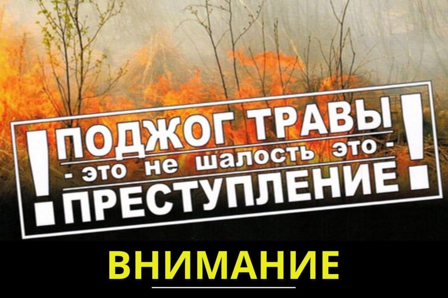 С начала весны в Минской области уже произошло 57 загораний сухой растительности