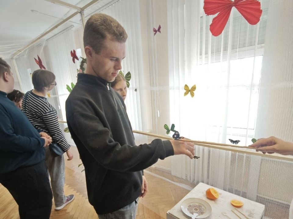 Выставка живых бабочек